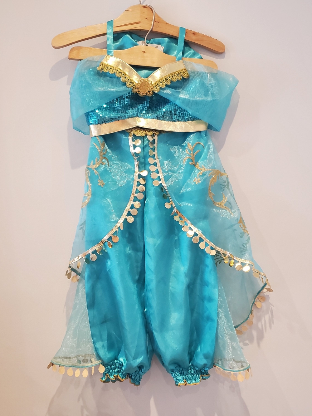 Princess Jasmine Costume - 5